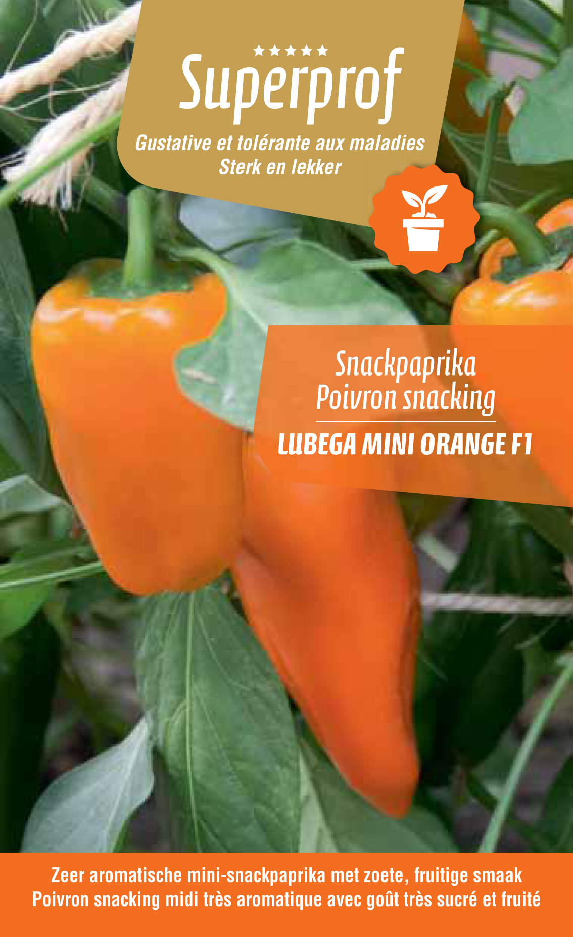 Mini Snackpaprika oranje (tray 8 pot)